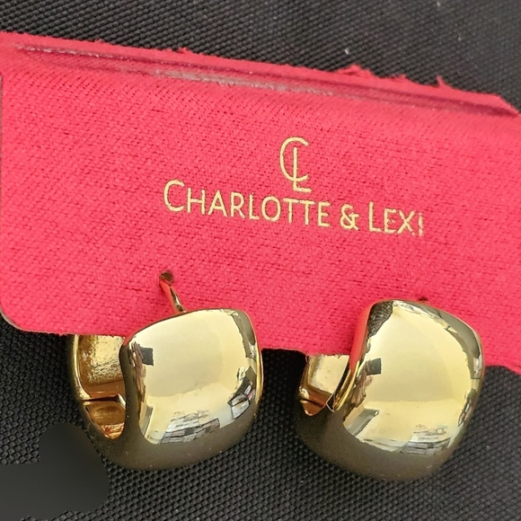 Gold Tone Earrings - Picture 1 of 1